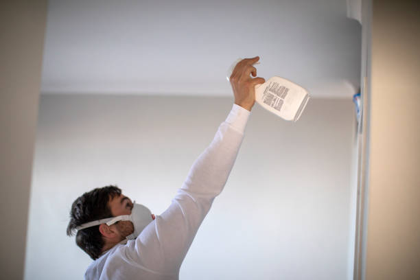 Best Post-Flood Mold Remediation in Elwood, IL