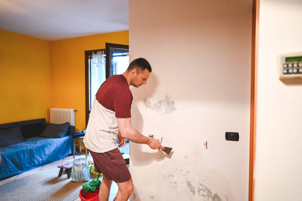 Best Health and Safety Mold Remediation in Elwood, IL